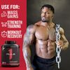 Rule One Proteins R1 Clean Gainer - High-Protein Lean Gain Formula with 560 C...