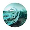 Y Teal Beach Ocean Waves Sunset Lake Monogram Initial Letter PopSockets Swappable PopGrip