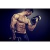 Nitric oxide tablets - NITRIC OXIDE 2400mg - immune support daily - 1 Bottle