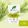 Dr.Organic Tea Tree Sapone, 100g
