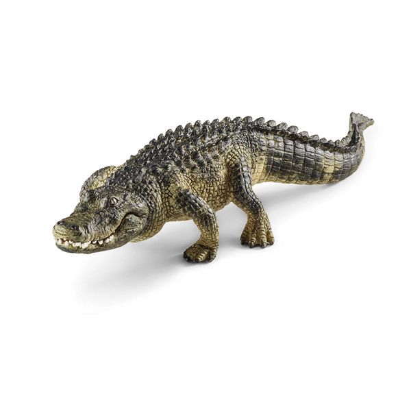 Schleich Wild Life Realistic Alligator Figurine with Movable Jaw - Detailed Alligator Toy Figure, Durable for Education and Fun Play, Perfect for Boys and Girls, Gift for Kids Ages 3+