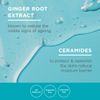Curél Anti-Wrinkle Hydrating Serum for Dry, Sensitive Skin