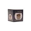 Warner Bros Harry Potter Alumni Trinket Box Snitch
