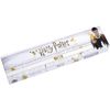Harry Potter Accessory TP0003