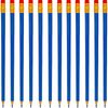 LCPQMZGH 48 Pcs Erasable Checking Pencils, Pre-Sharpened, for Marking, Coloring, Tests, Grading, Office, School (Blue)