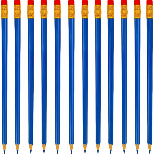 LCPQMZGH 48 Pcs Erasable Checking Pencils, Pre-Sharpened, for Marking, Coloring, Tests, Grading, Office, School (Blue)