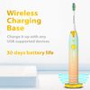 Wagner & Stern Ultrasonic whitening Toothbrush with Pressure Sensor. 5 Brushing Modes and 4 Intensity Levels with 3D Sliding Control, 8 Dupont Bristles, Premium Travel Case.