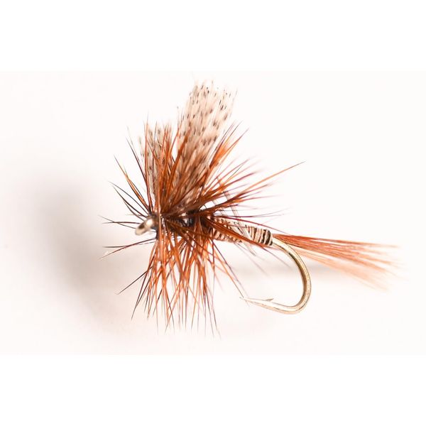 Blue Wing Olive Red Quill Dry Fly, 6-Pack (16#)