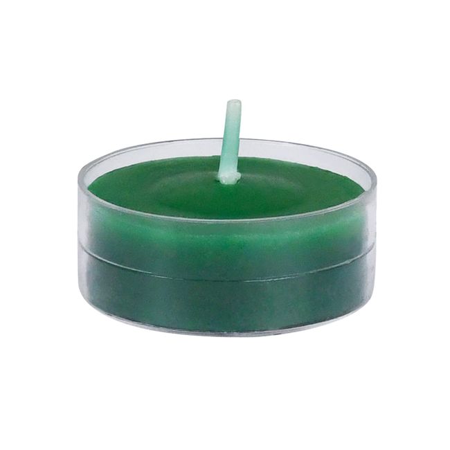 Zest Candle 50-Piece Tealight Candles, Hunter Green