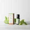 Ellia Aromatherapy Therapeutic Grade Basil Essential Oil for a Diffuser 15 ml 6 ct