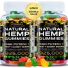 (2 Pack) Natural Gummies for Stress Relief -  For Pain, Insomnia & Anxiety 120ct