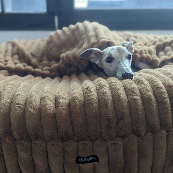 EDEL&SCHNELL Hundebett Bezug aus Nerz Kunstfell mit Kapuze, Hundebettbezug 100 cm braun, Ersatzbezug für Hundebett Flocke, Cosybed, Hyggebed
