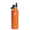 Hydro Flask Hydration 21oz Standard Mouth Flex Straw Mesa
