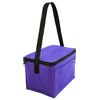 Ensign Peak Basic 6-can Insulated Cooler (Purple)