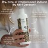 Australian Bodycare Tea Tree Oil Conditioner 500ml | Nourishing Conditioner for Women & Men | Treatment for Dry Damaged Hair | Pharmaceutical Grade Tea Tree Oil | Can be used for Dandruff | 100% Vegan