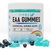 EAA Gummies 120 Gummies (Blue Raspberry), Essential Amino Acids - All 9