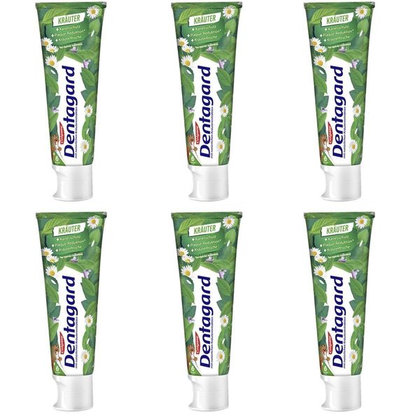 6 Dentagard Toothpaste 75ml Original in the Tube (6 75ml)