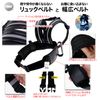 Phoenix Touring Safety Belt with Handle, Improved Version, Motorcycle, Child, Two Seater