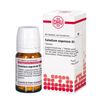 Caladium seguinum D3 DHU Tabletten, 80 St. Tabletten
