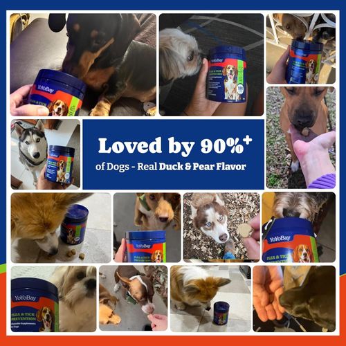 YoYoBay Flea and Tick Prevention for Dogs Chewable - Duck & Pear Flavor - Dog Flea and Tick Treatment Chewable, Natural Defense- Dog Immune Support Supplement, 2 Pack
