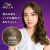 Welatone 2+1 Cream Type 9GM Pretty Bright Matte Brown (Quasi-Drug) (Stylish Dye for Gray Hair)