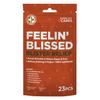 Be Smart Get Prepared Feelin' BLISSED Blister Relief Kit (23 pc)