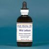 Pure Herbs: Wild Lettuce  - 4 oz.