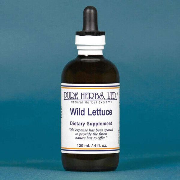 Pure Herbs: Wild Lettuce  - 4 oz.