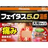 【第2類医薬品】フェイタス5.0温感(大判サイズ) 20枚 ×5