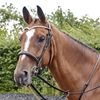 Whitaker Lynton Leather Snaffle Bridle With Spare Browband (Full) (Black)
