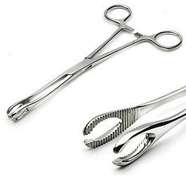 Sponge Holding Forceps 6" Slotted Body Piercing Instruments