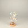 Papstar Bodenbeutel transparent pure