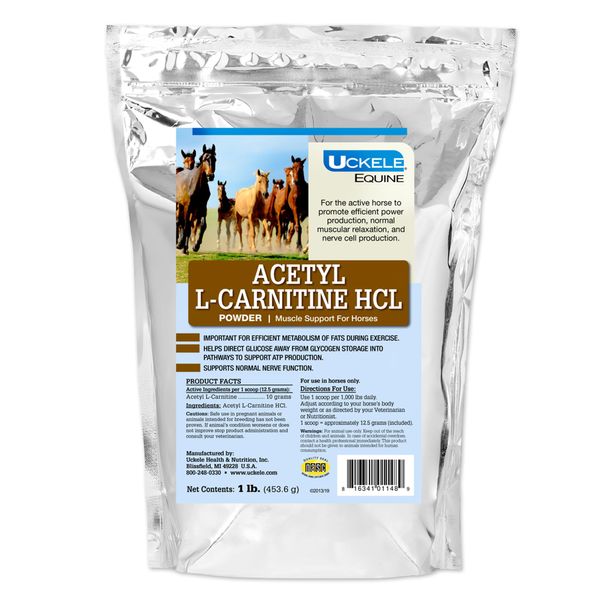 SMARTPAK Acetyl L-Carnitine Powder - 1 lb Bag