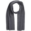 Barts Men's Joshuar Winter Scarf
