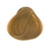 Trichology Hair Recovery Concentrate