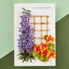 Spellbinders Delphinium Etched Dies, Metal