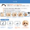 CatMoz 3D Nose Petite, 5 Sizes, Improve Bun Nose, Pig Nose, Garlic Nose, Painless, Orthopedic Nose, 5 Sizes Per Box (XSSMLXL, 5 Sizes)