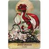 Oracle Card Divination Field Guide To The Garden Dragons