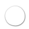 EigenArt Nail Art Stamping – White, 5ml