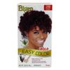 Bigen Easy Color #2rb Burgundy Kit, 1 Ea, 1count