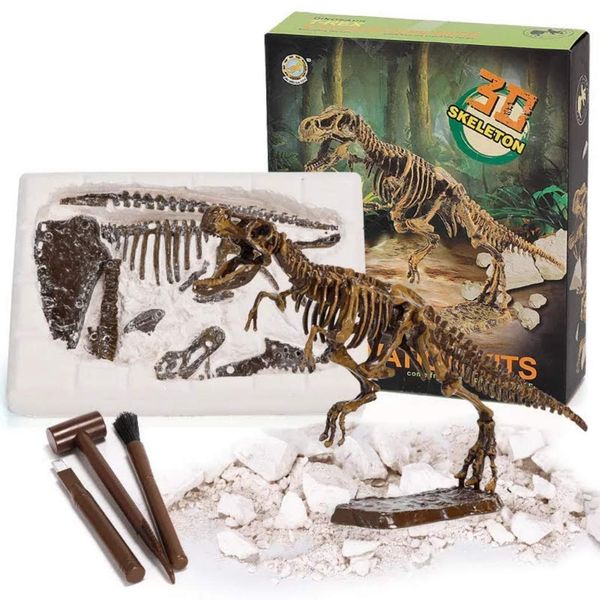 Tomyfield Dinosaur Excavation Fossil Toy, T-reannosaurus, Dinosaur Fossil, Present, Bone, Large, Children's Kit, Toy