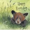 ALEX CLARK Happy Bearday Birthday Card