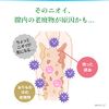 Sarasati Clean Vaginal Cleaning Device, For Odors and Vagines, Cleans the Vagina with Lactic Acid Gel, Preservative-Free, Made in Japan, Pack of 3, Kobayashi Pharmaceutical