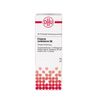 Erigeron canadensis D6 DHU Dilution, 20 ml Lösung