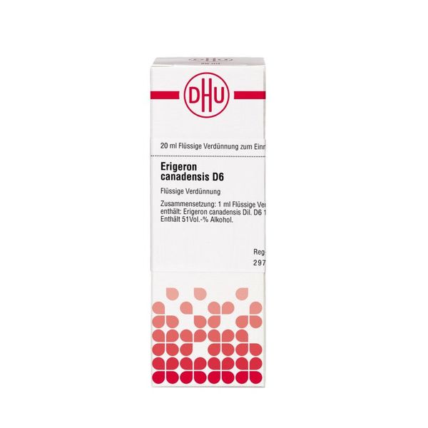 Erigeron canadensis D6 DHU Dilution, 20 ml Lösung