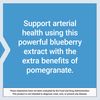 Life Extension Blueberry Extract and Pomegranate, arterial Health Support, antioxidant Defense, Gluten-Free, Non-GMO, Vegetarian, 60 Vegetarian Capsules