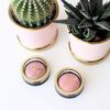 Max Factor Crème Puff Blusher, Lavish Mauve 2