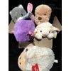 Mystery Dog Plush Toy with Squeaker