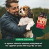 Deva Vegan Vitamin B12 Fast Dissolve Supplement - Once-Per-Day Complex with 1000