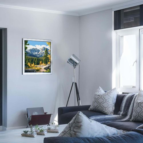 ARNLRDYA Rocky Mountain National Park Paint by Numbers for Adults, Forest Fir Paint by Number, Mountains Scenery DIY Acrylic Painting for Home Wall Decor(16×20inch, Unframe)